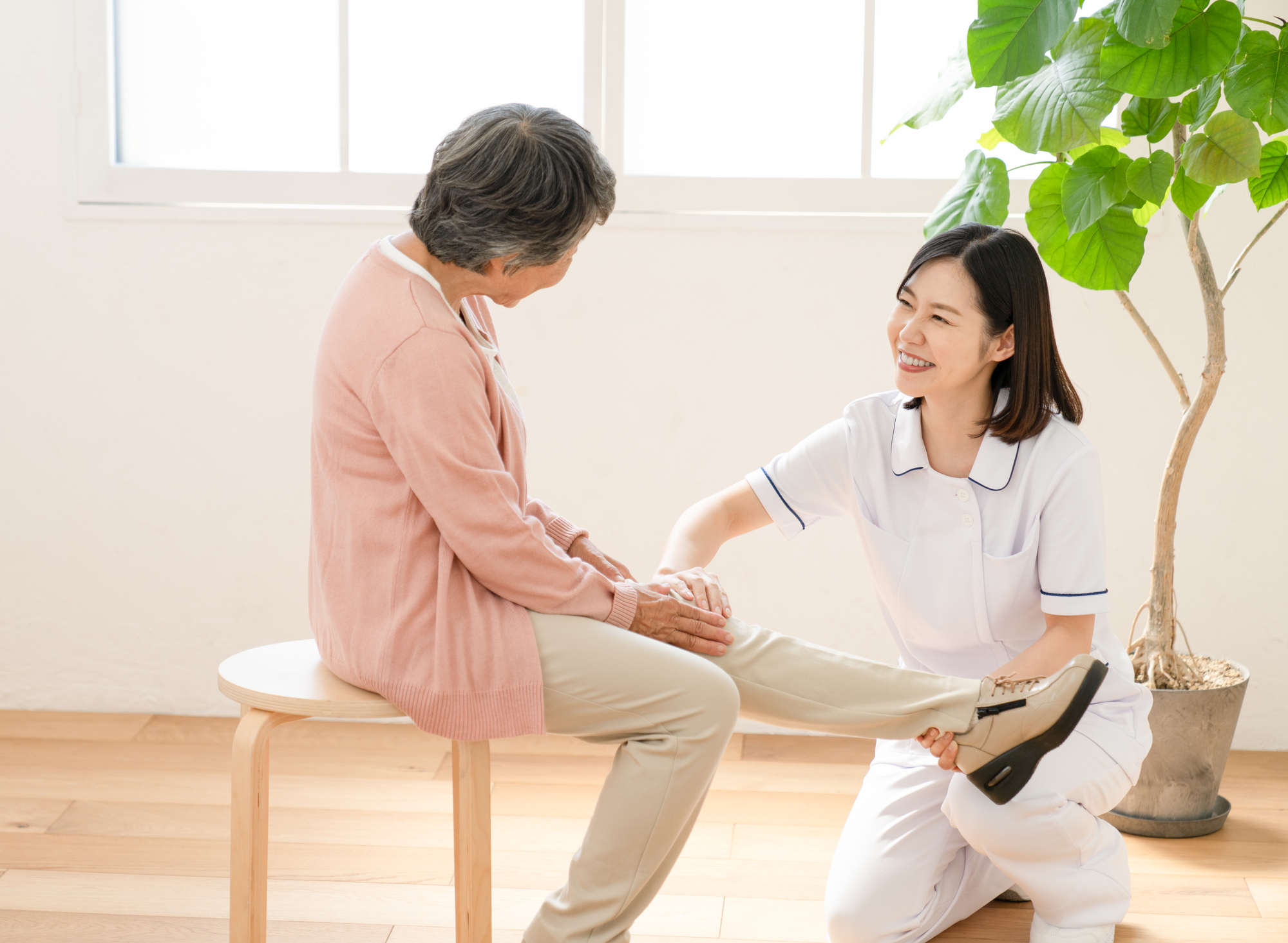 介護予防訪問リハビリテーションとは 介護職転職は難しい 施設紹介 転職 求人情報について詳しく紹介します 介護ワーク 公式 介護の求人 転職と派遣 パート バイト情報